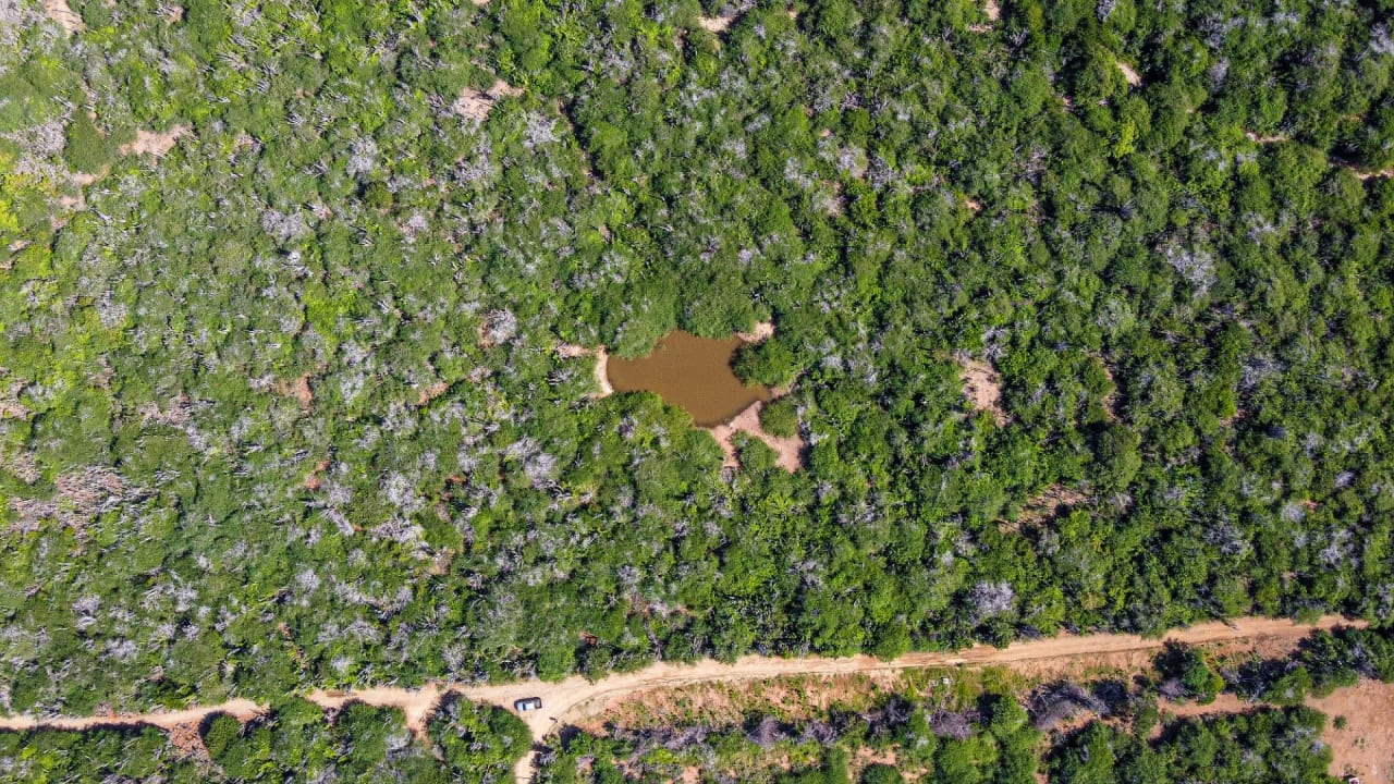 BES Islands Real Estate Bonaire Land For Sale Investment