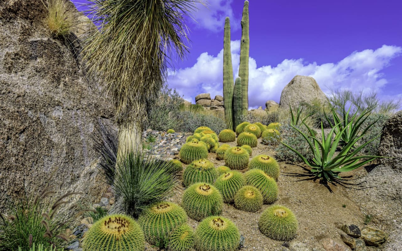 Hiking in Scottsdale Blog The Tackett Team