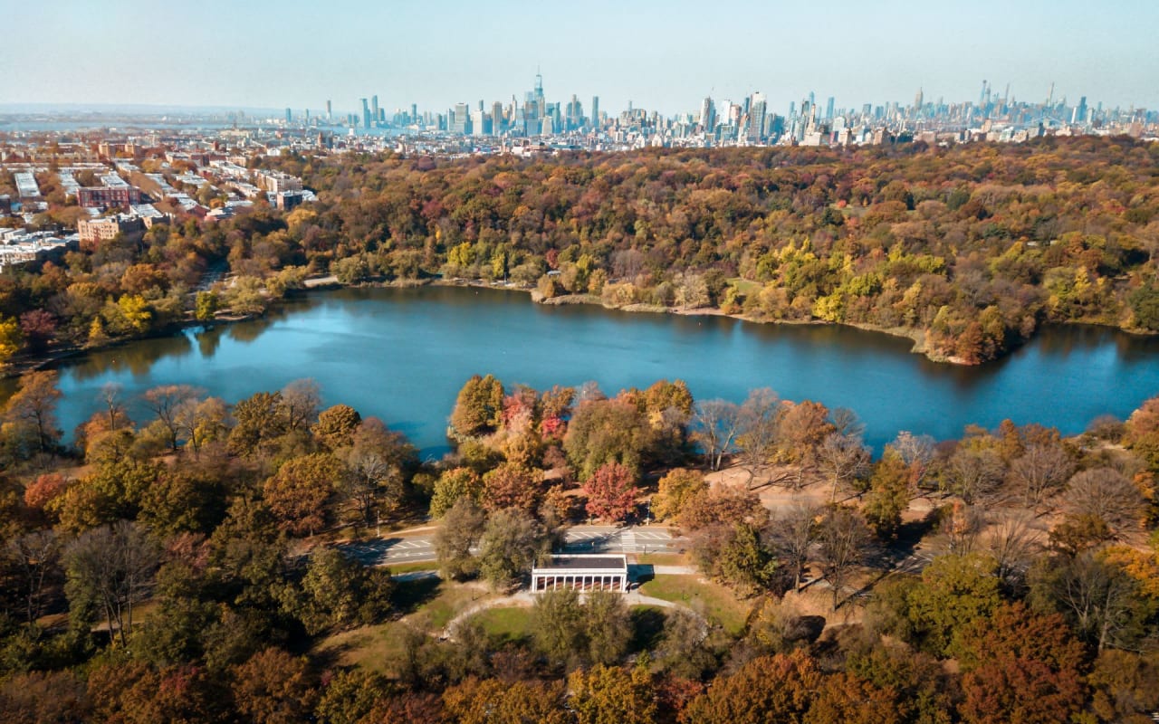 Prospect Lefferts Gardens