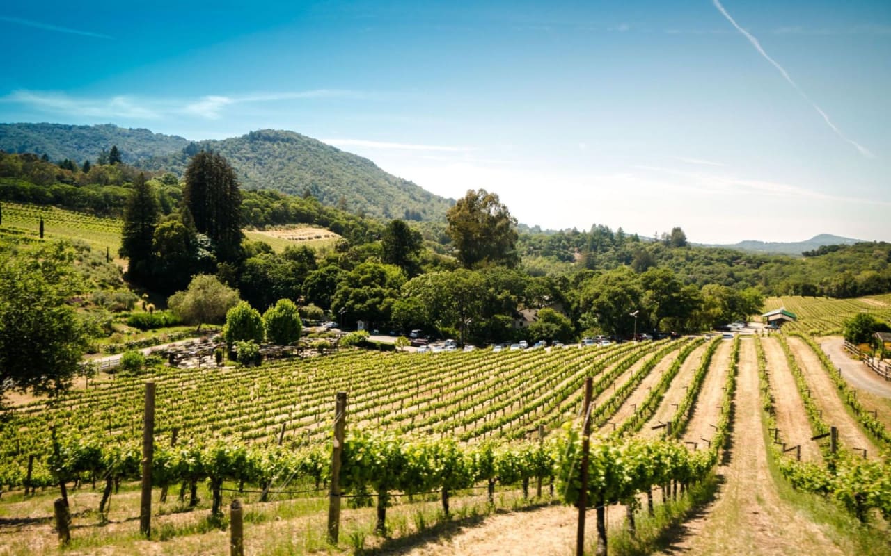 Why Residents Love Living in Sonoma Valley