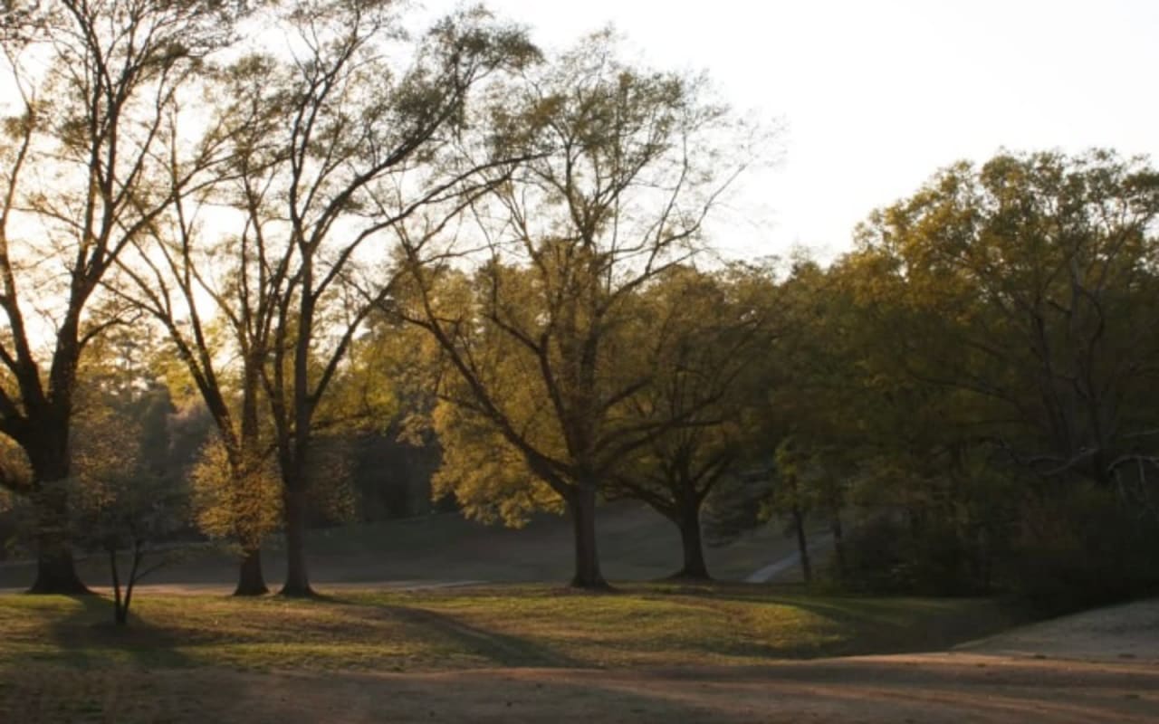 8 Activities in Atlanta’s Chastain Park