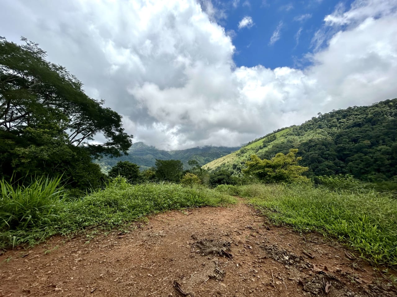 Over 123 Acres Farm in San Josecito De Morete, in Uvita Mountains