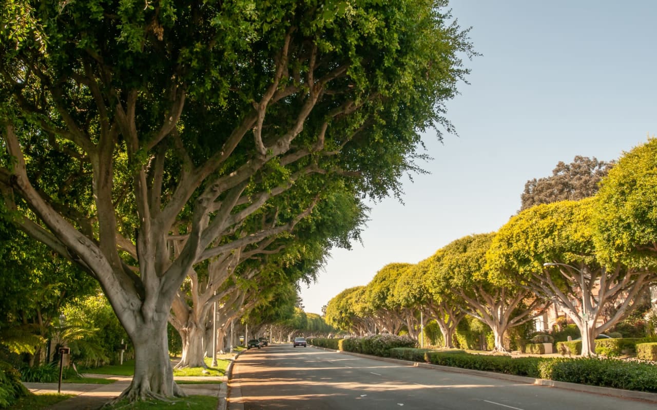 Leimert Park