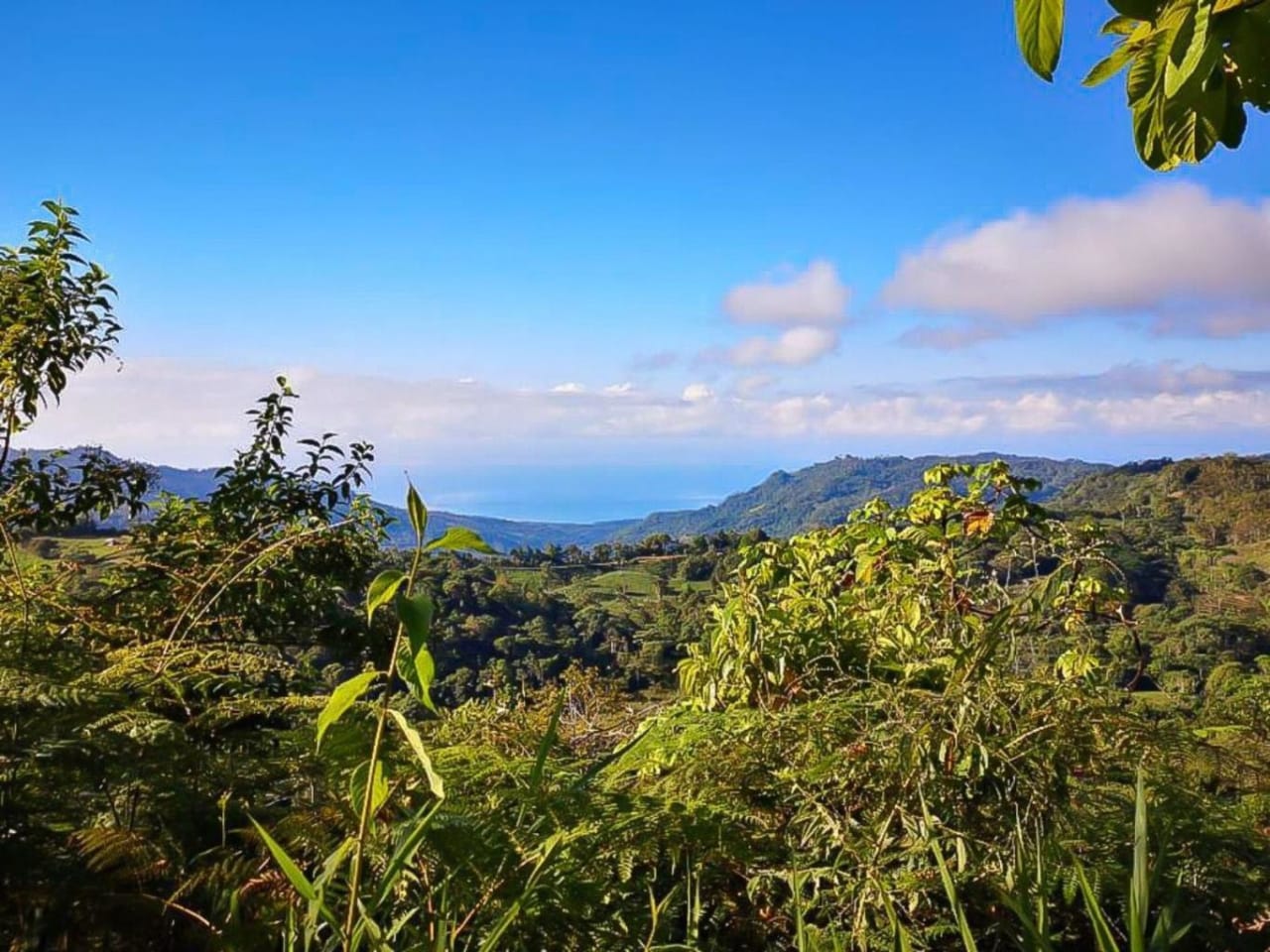 The Ultimate Sustainable Legacy, 360-degree Breath-taking Views Sea Ridge Reserve