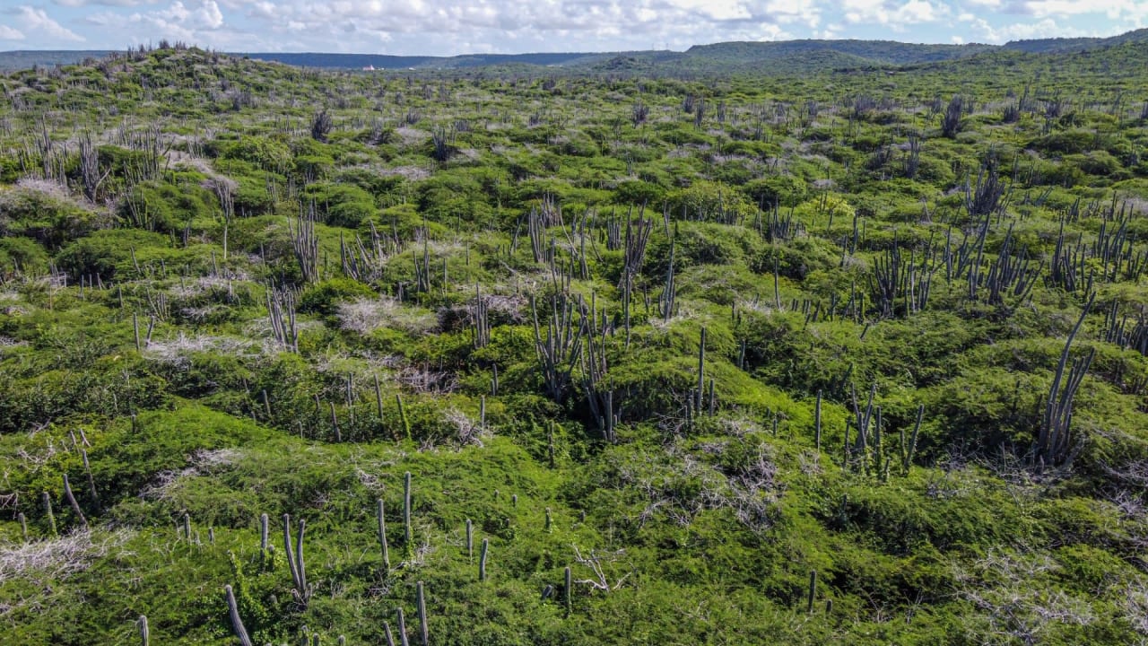 Property land Bonaire