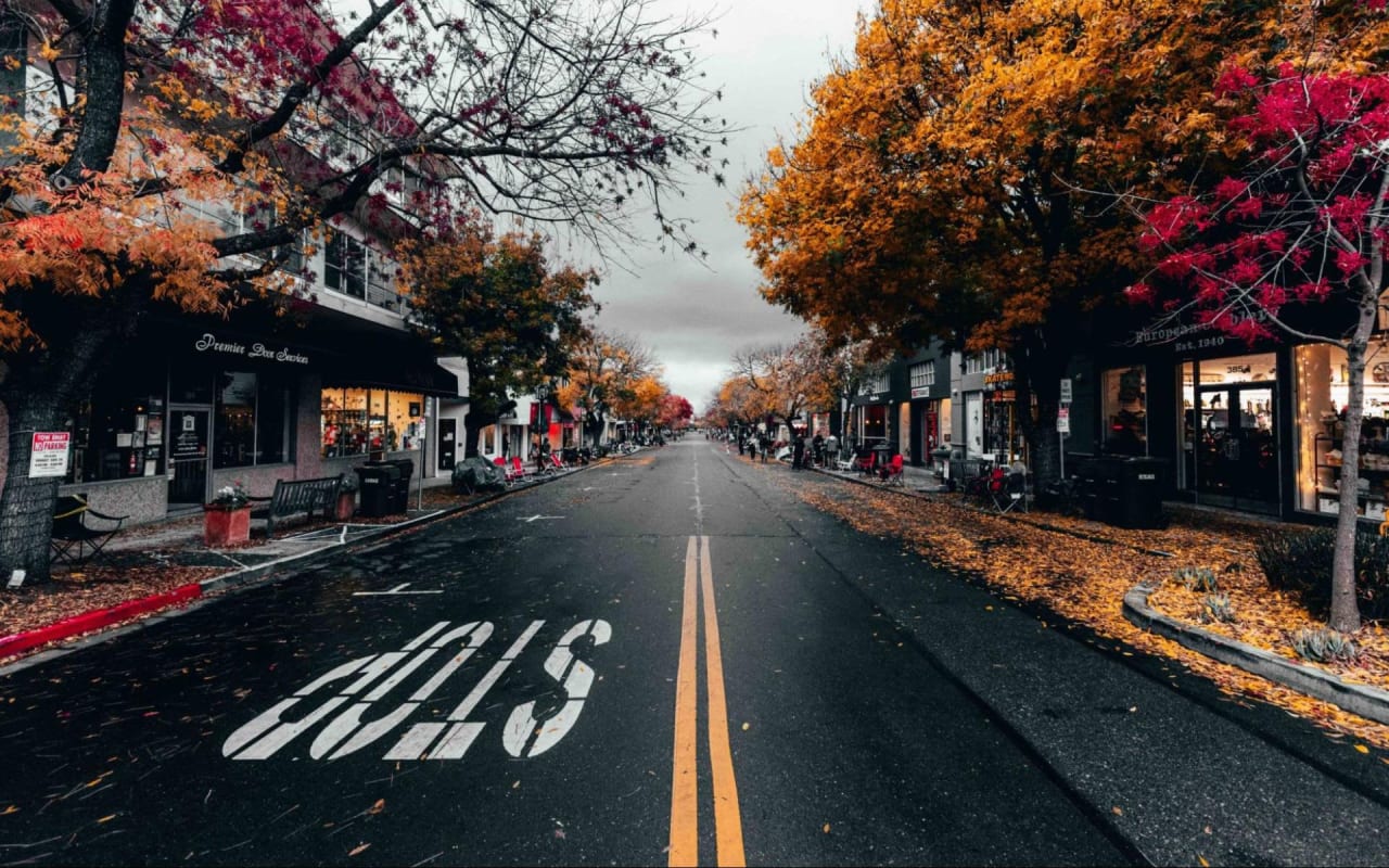 Everything You Need to Know About Living in Los Altos Campi Blog