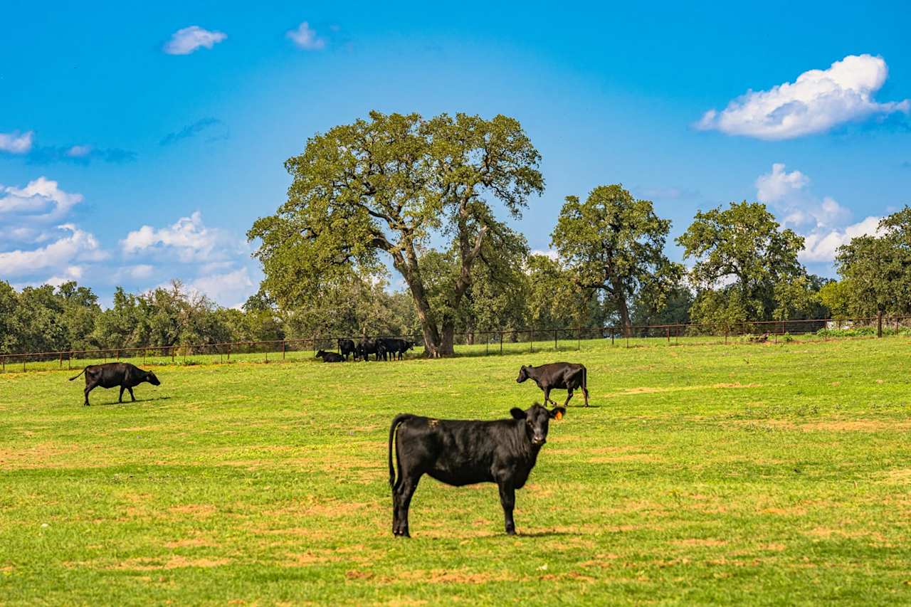 The Meadows at Middle Creek, 88+/ Acres of Prime Hill Country Land