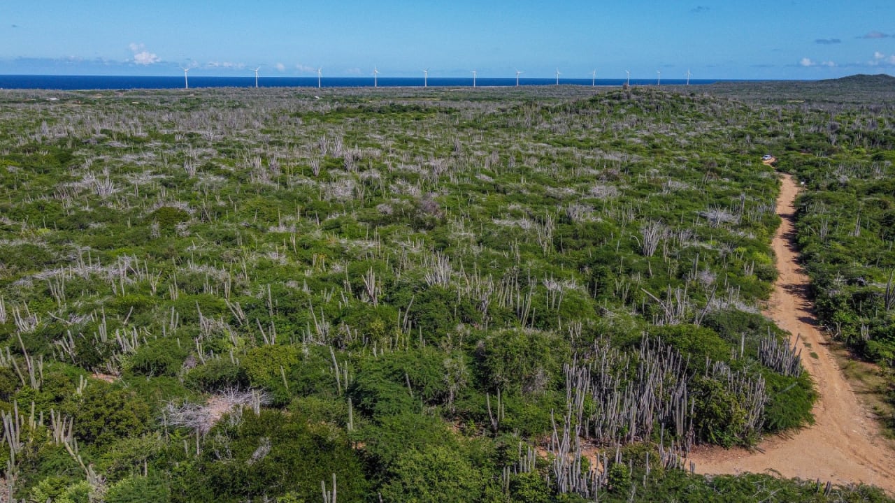 BES Islands Real Estate Bonaire Land For Sale Investment