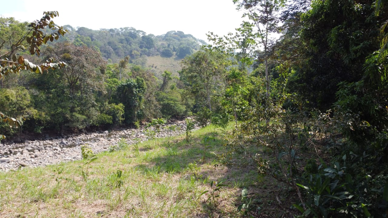 INVESTMENT OPPORTUNITY IN PLATANILLO – YOUR FIXER-UPPER DREAM WALKING DISTANCE TO NAUYACA WATERFALL