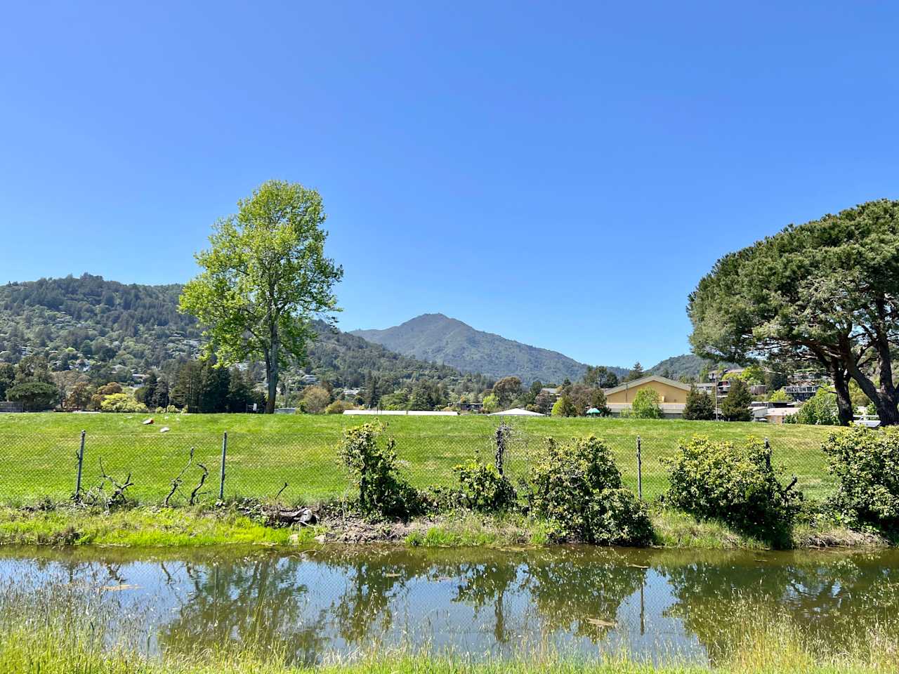 OFFMARKET 46 Mohawk Ave