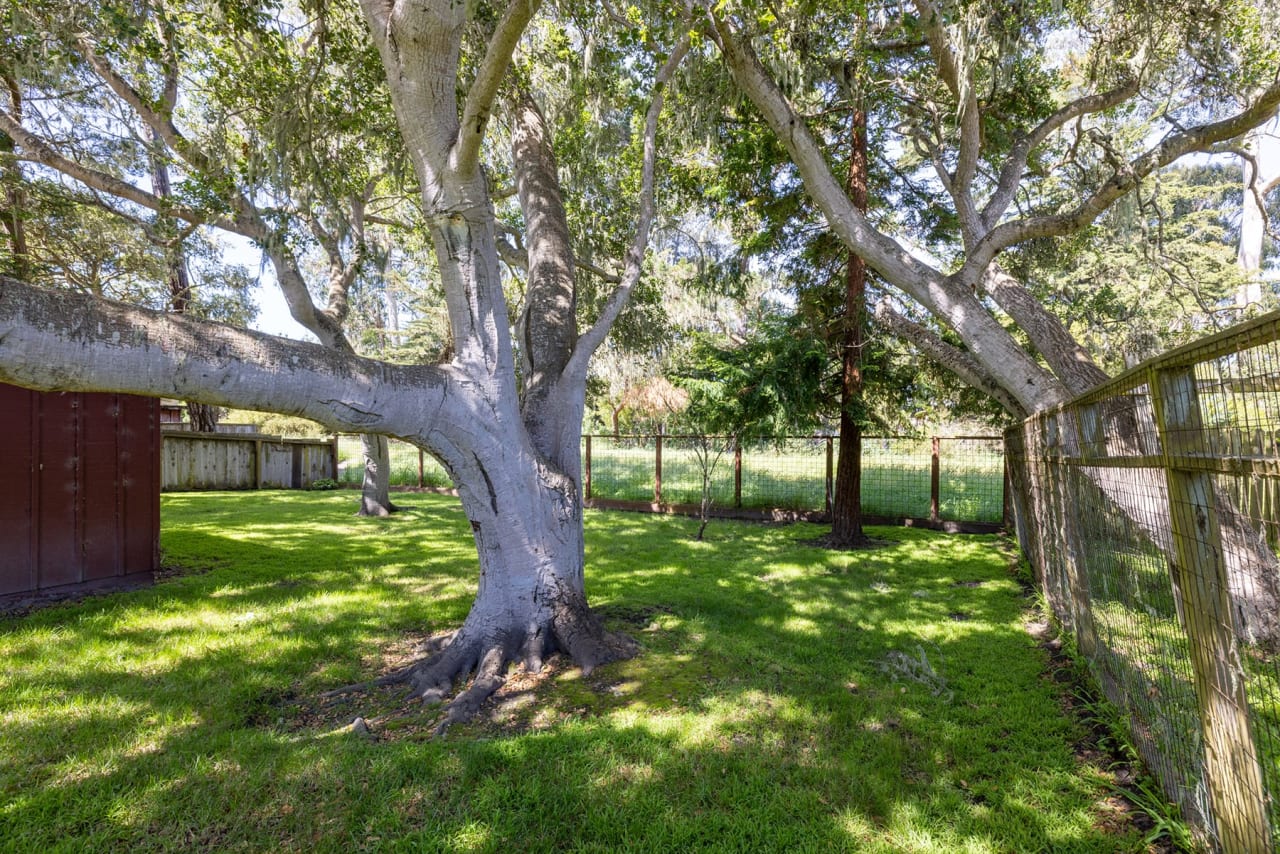 Pacific Grove Charmer