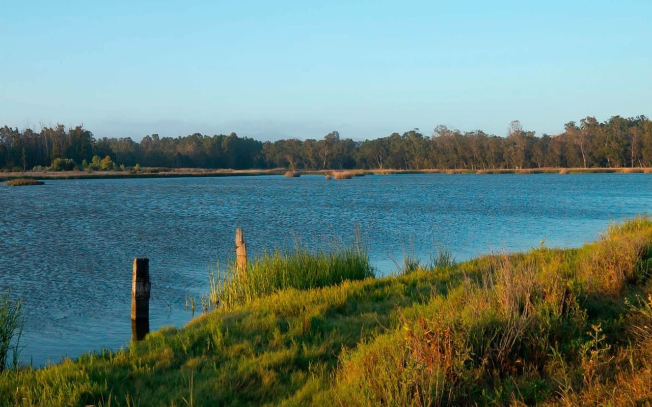 Yountville Homestead Real Estate