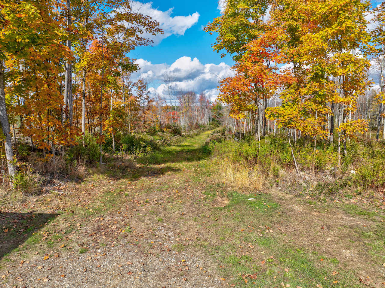 Land For Sale in Bowdoin, Maine 36.5 Acres Tomazin Goff Realty