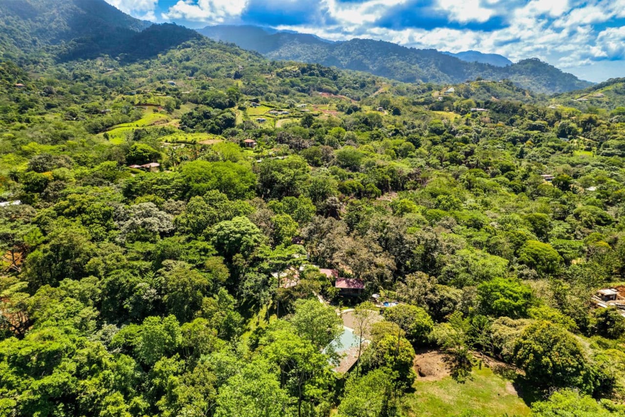 6 Beautiful Tree House Villas and Owners Home on Calle Toucan