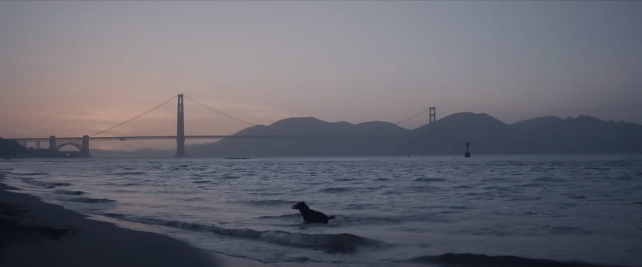 A real estate company with a purpose.