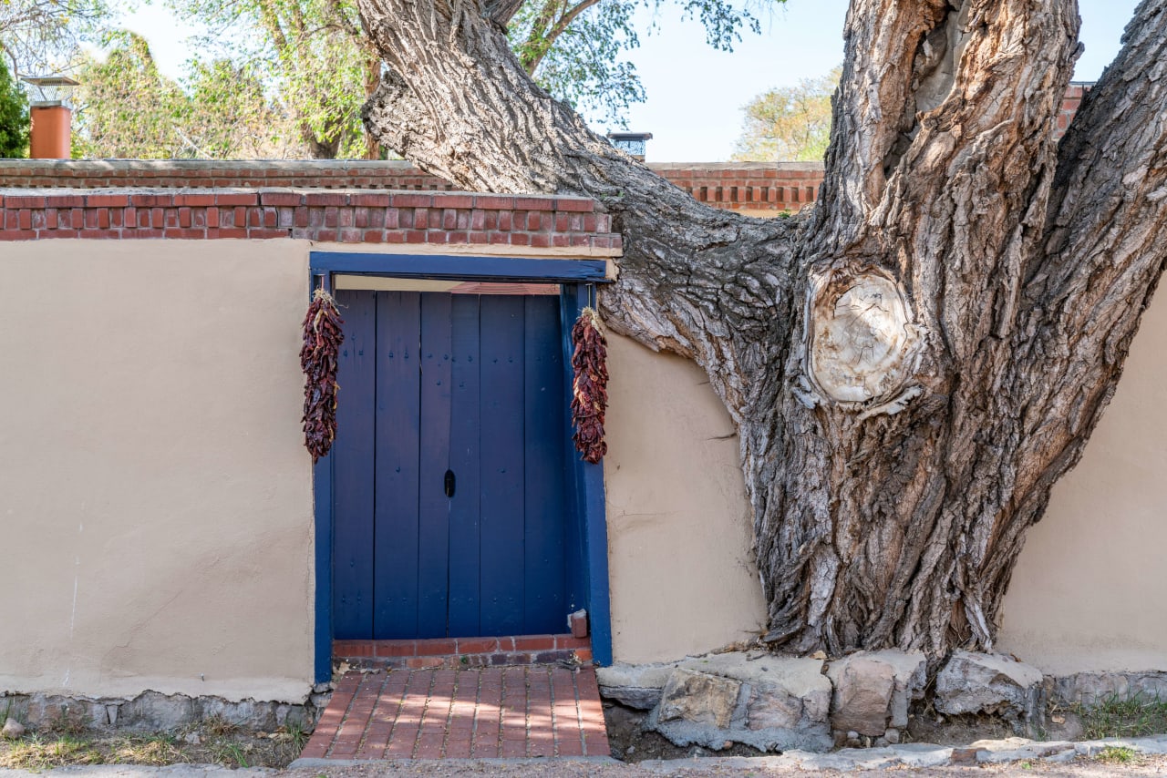 A blue door surrounded by a large tree