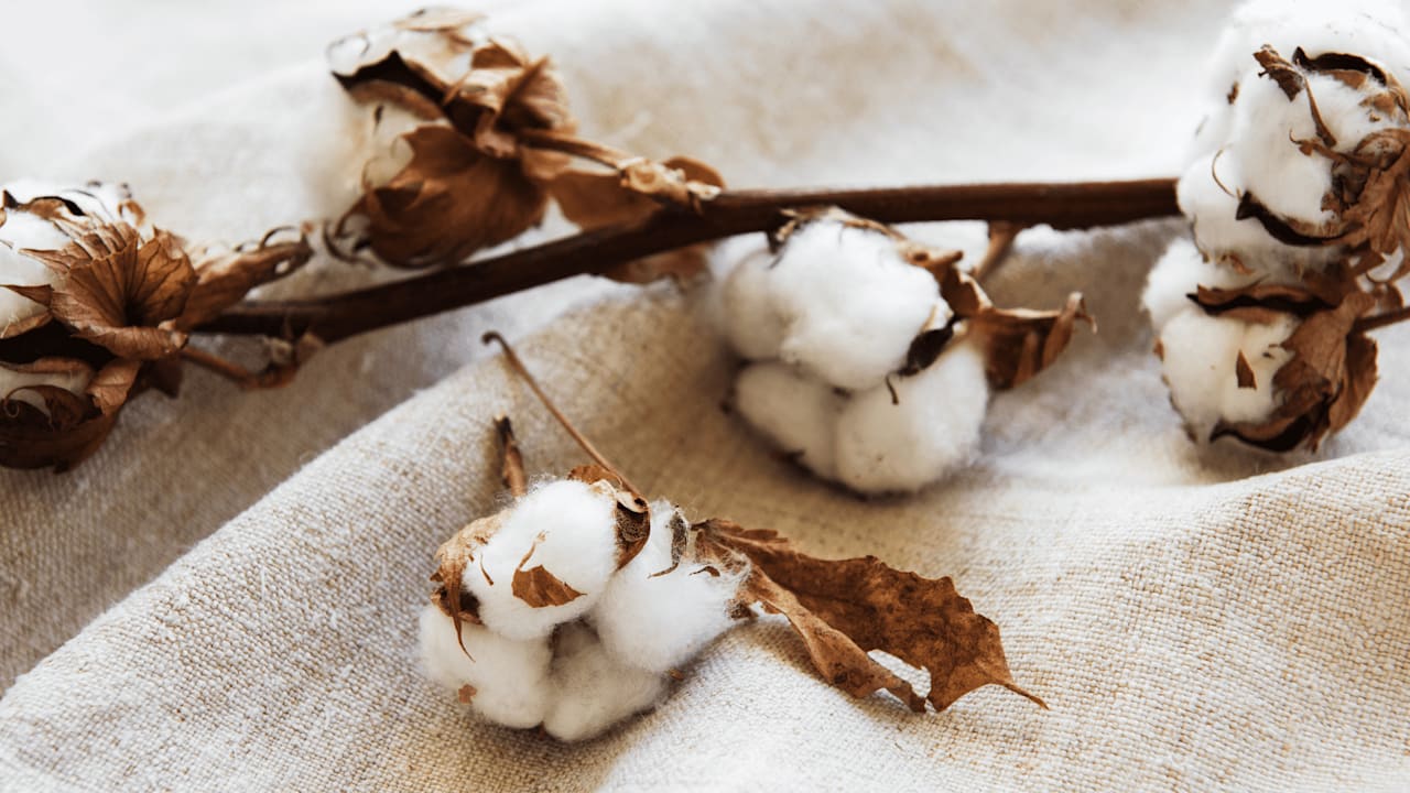 5 Eco-Friendly Gift Ideas for New Homeowners this Spring