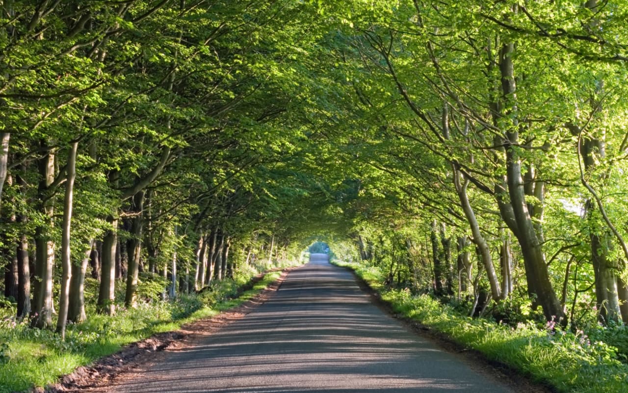 Prairie Village Neighborhood Guide Ward Residential Ward