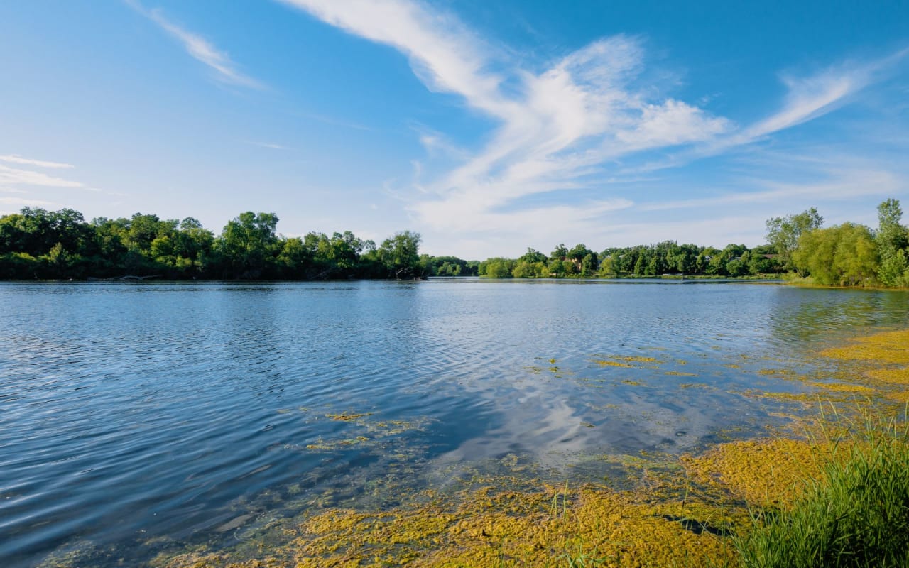 Lake Chains