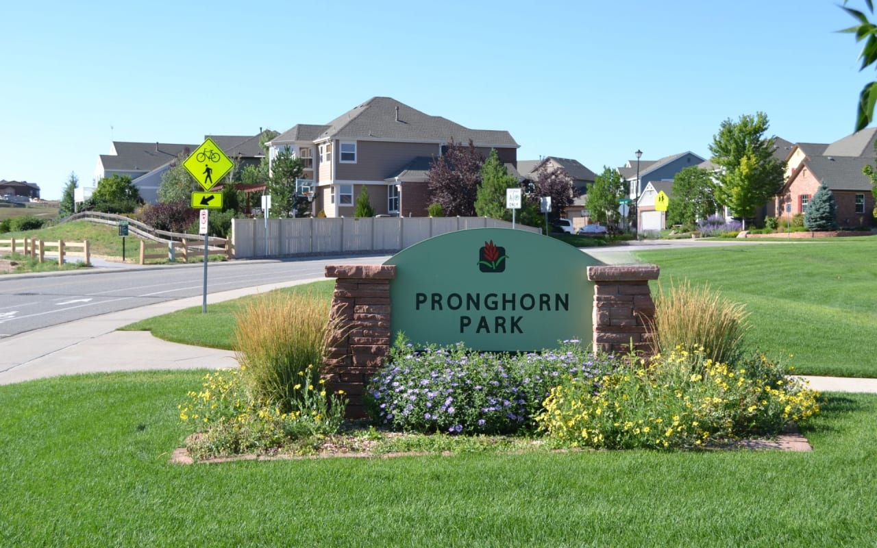 Pronghorn Park