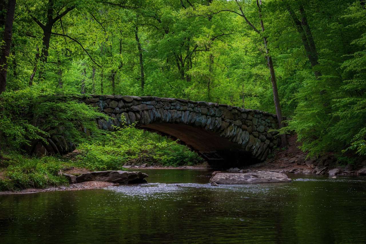 DC's Green Spaces and parks