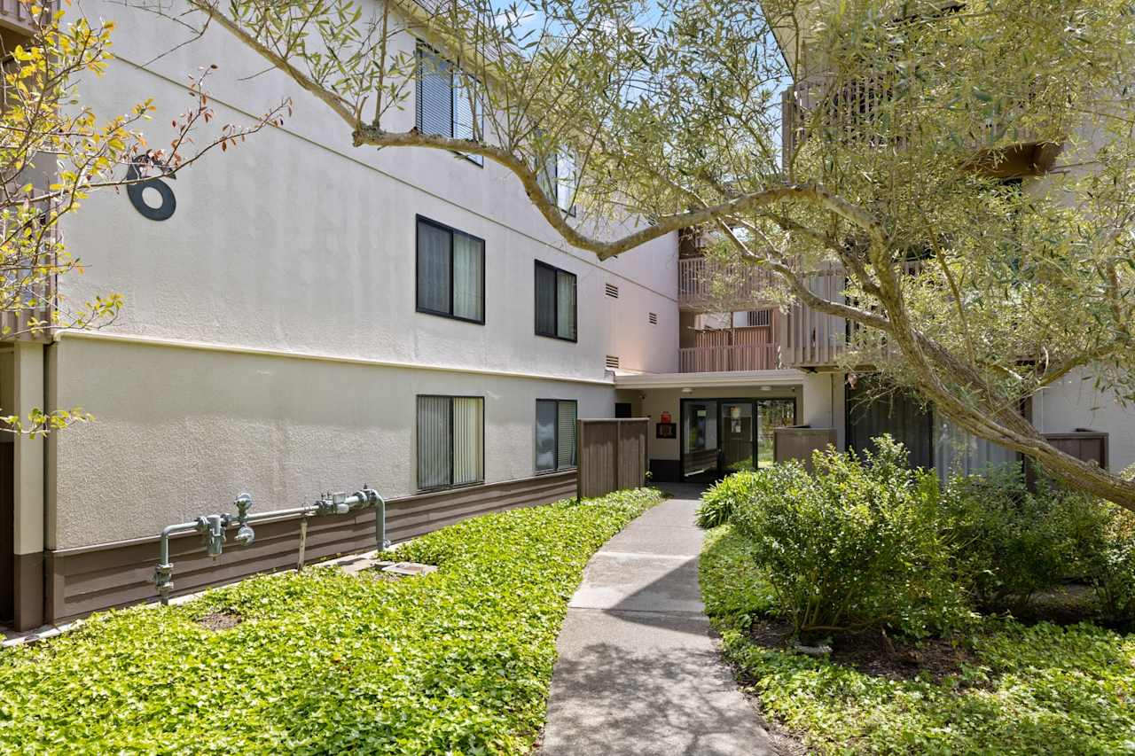 Shelter Creek Derrick Mar