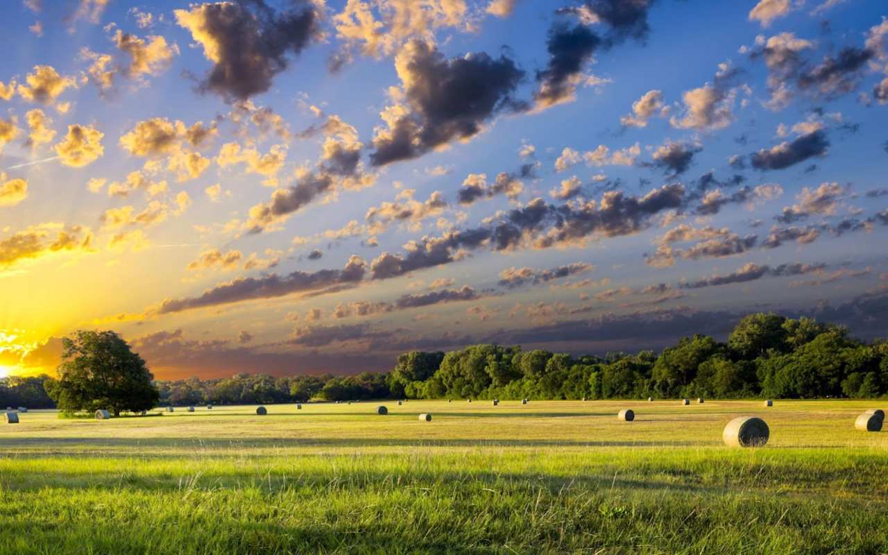 Navigating Texas Land Ownership Legal Considerations Blog Gaines Slade