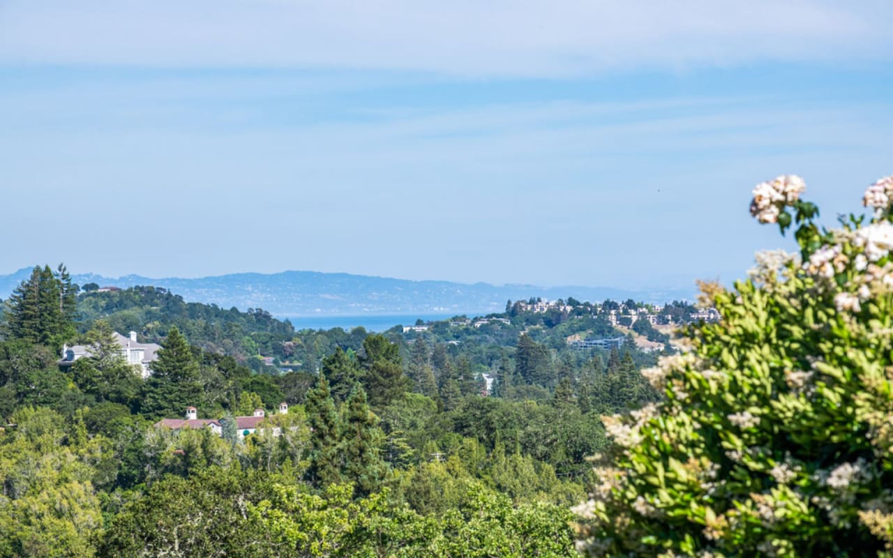 Marin County Luxury Homes