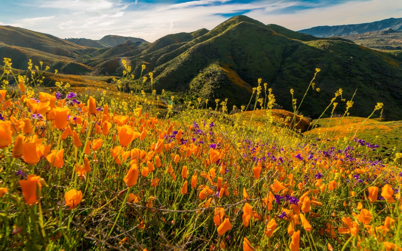 Antelope Valley