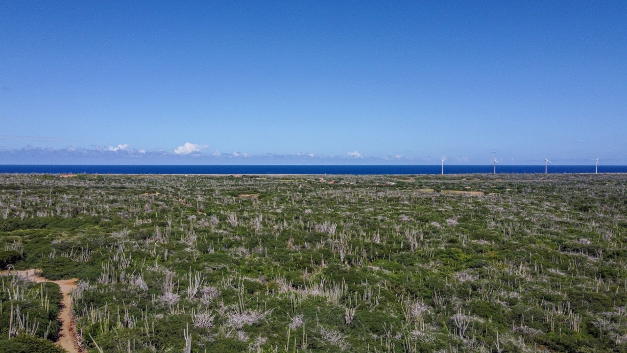 BES Islands Real Estate Bonaire Land For Sale Investment