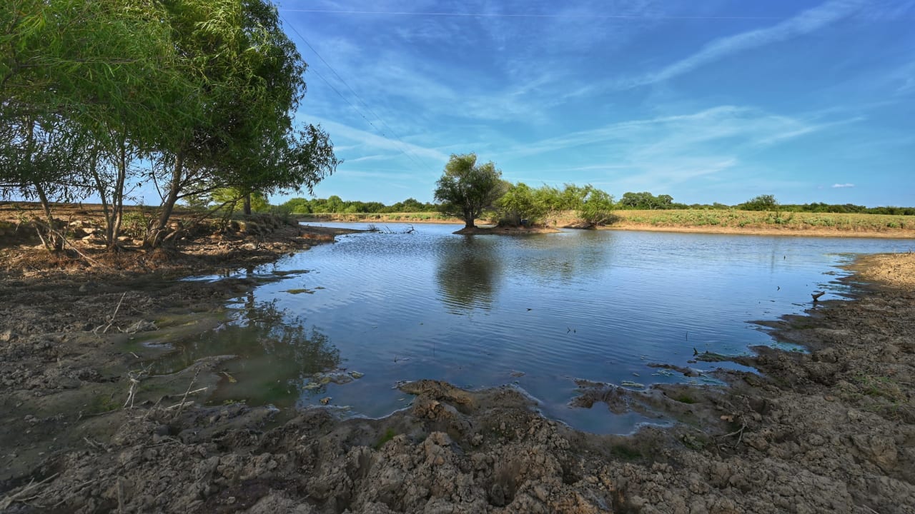 Palo Pinto County | Area Guide