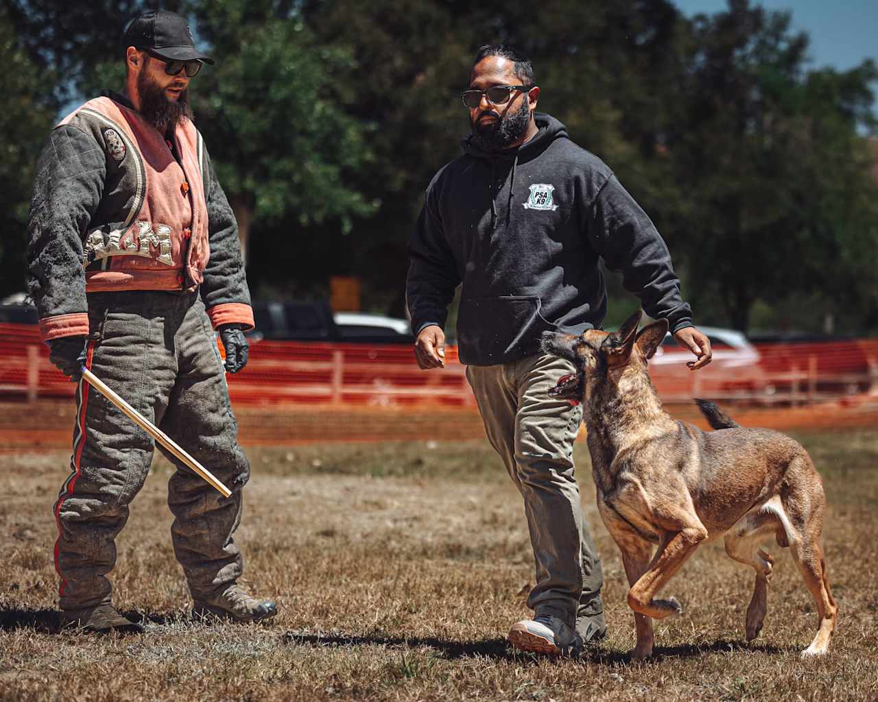 Dog Training with Golden State Canine Ryan Greco SF Bay Area Real