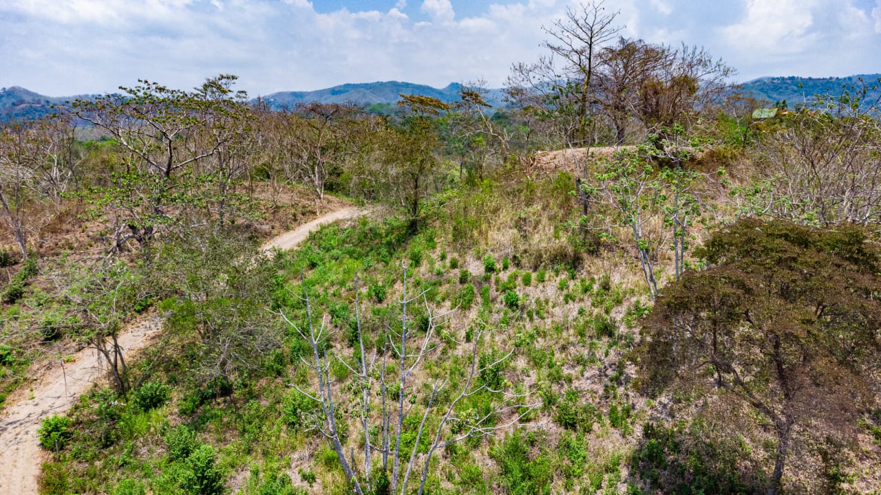 Finca Sueño del Mar between Playa Sámara and Playa Carrillo