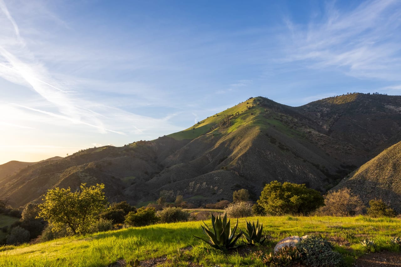 Figueroa Mountain Serenity