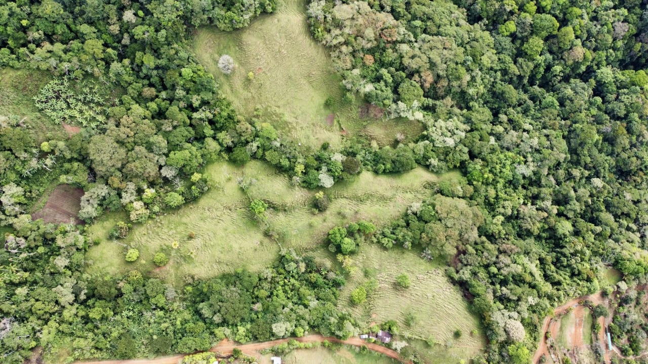 Hidden Gem: Serene Farm Retreat with Majestic Views in Costa Rica