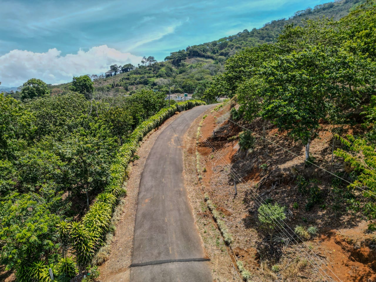 La Ceiba, Lot 7 | Panoramic Views and Refreshing Microclimate.