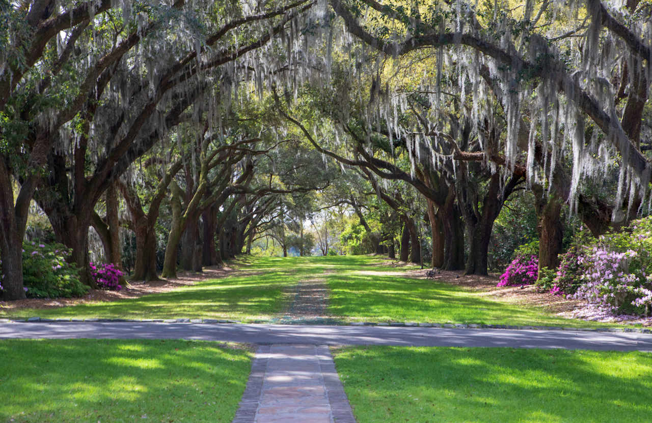 Explore West Ashley, South Carolina Living Hanna Geiger