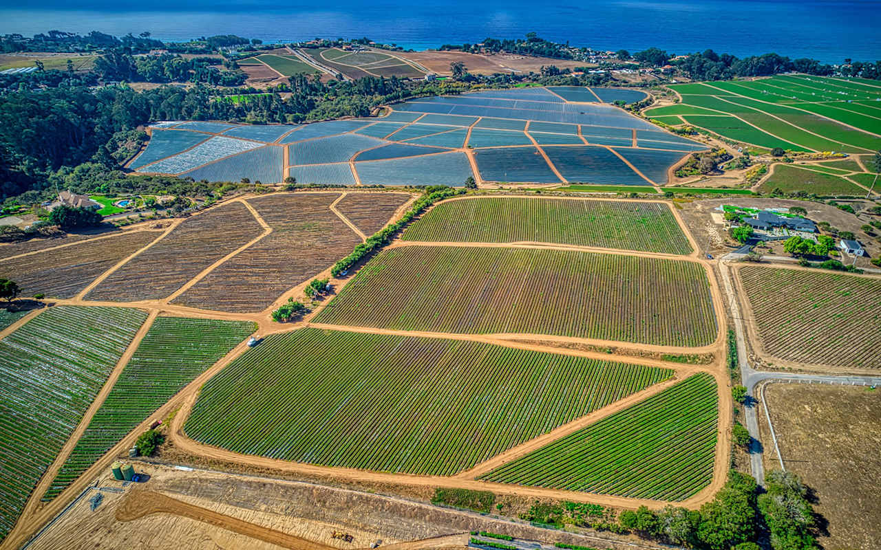 Active Lots/Land in California California Land Bank