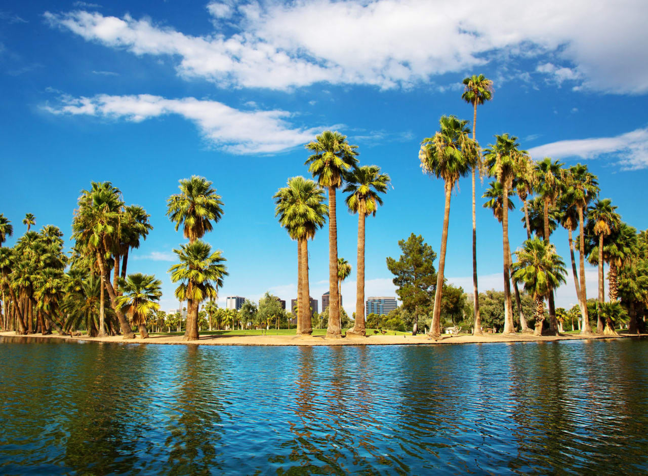 TOP 7 PLACES FOR A PICNIC IN PHOENIX