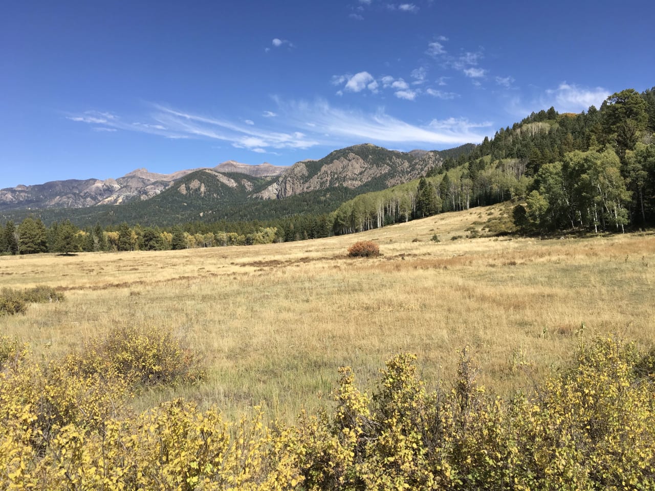 Southern Colorado Riverfront Mountain Ranch