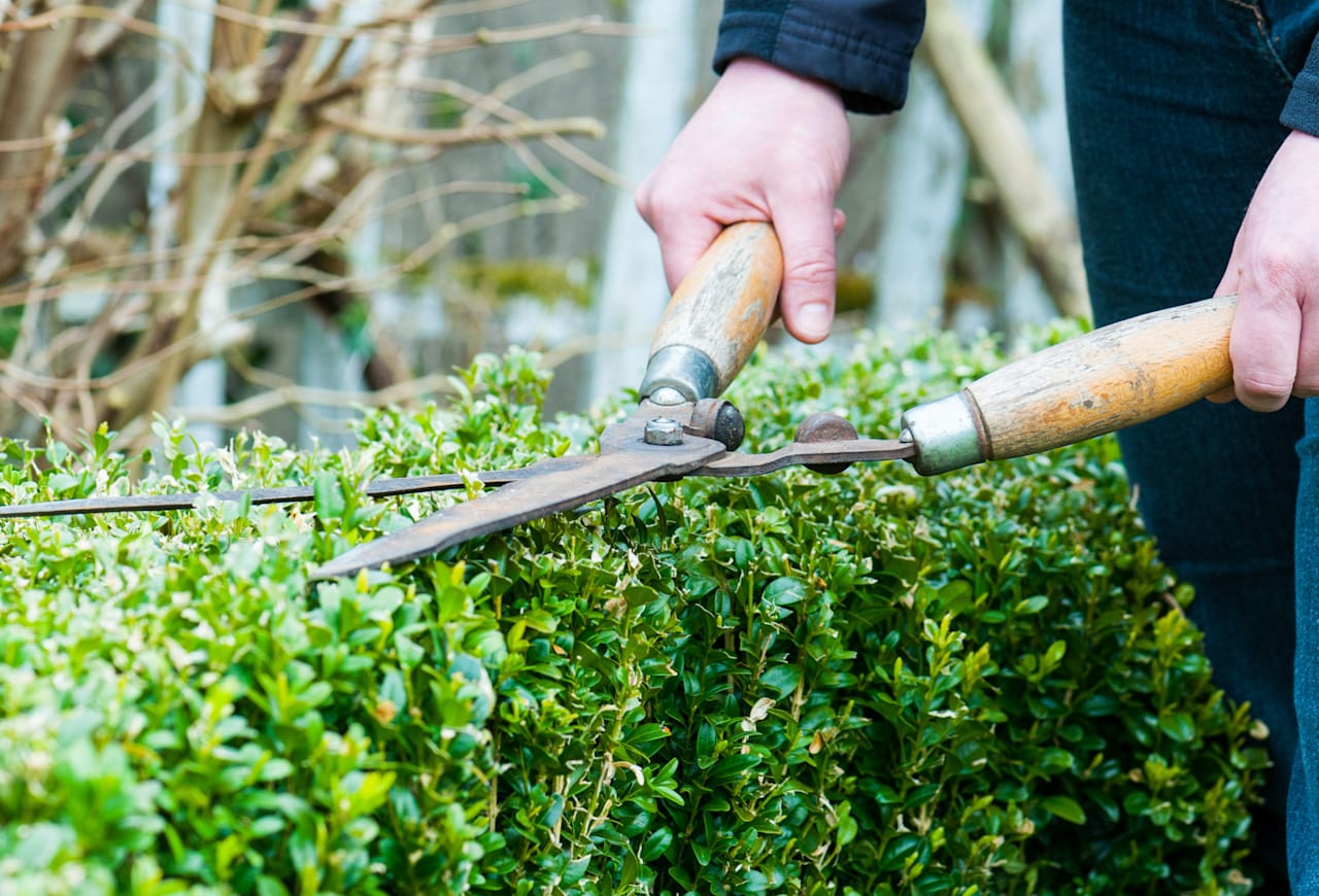 Your Summer Home Maintenance Checklist