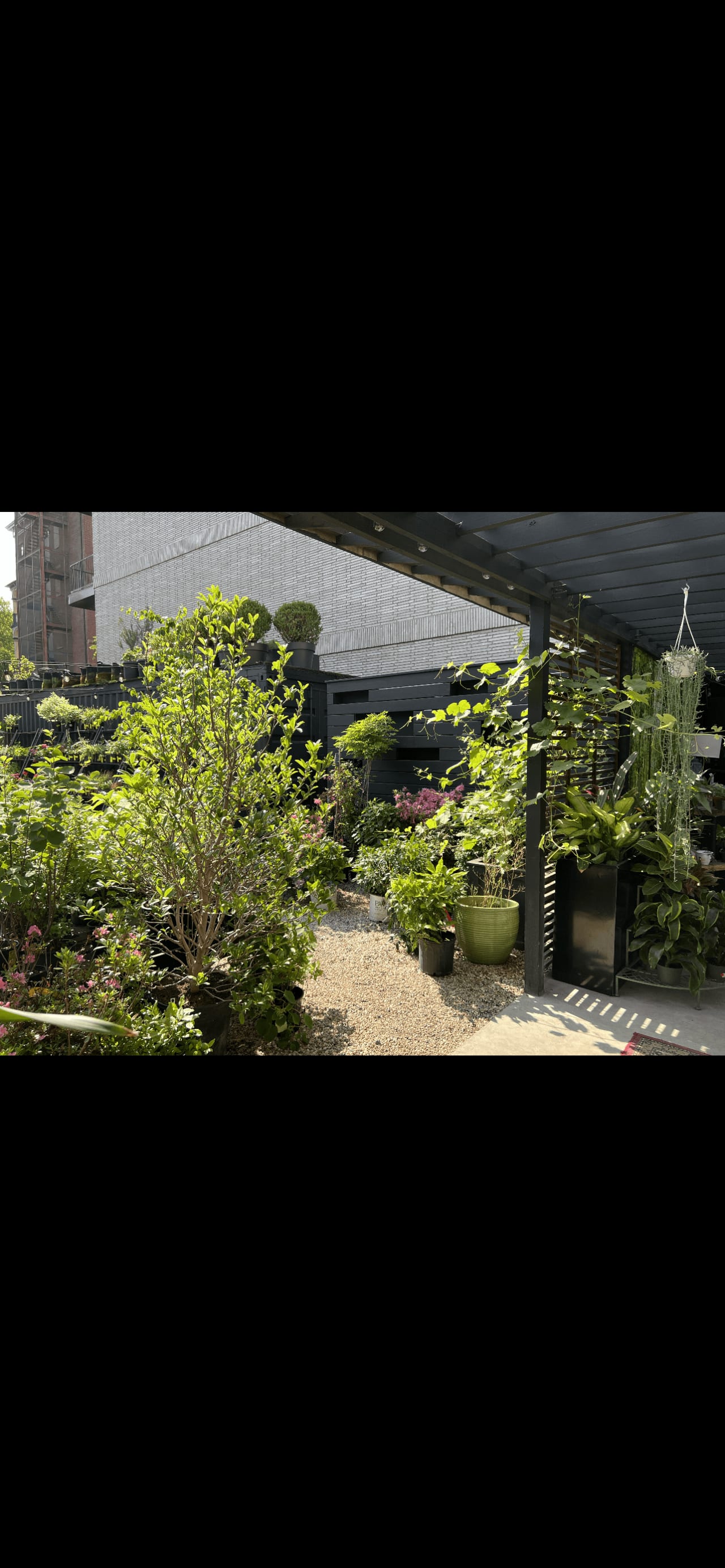 OutsideSpaceNYC: Cultivating Urban Paradises in Brooklyn