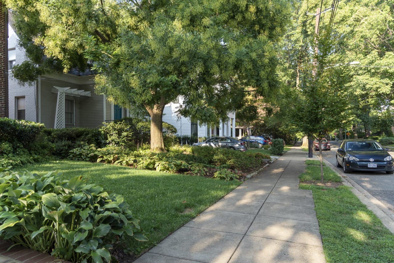 American University Park streetscape in summer.