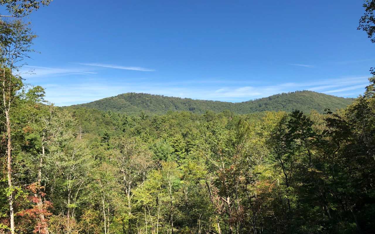 Marilla Woodall Cumming, GA Real Estate Agent