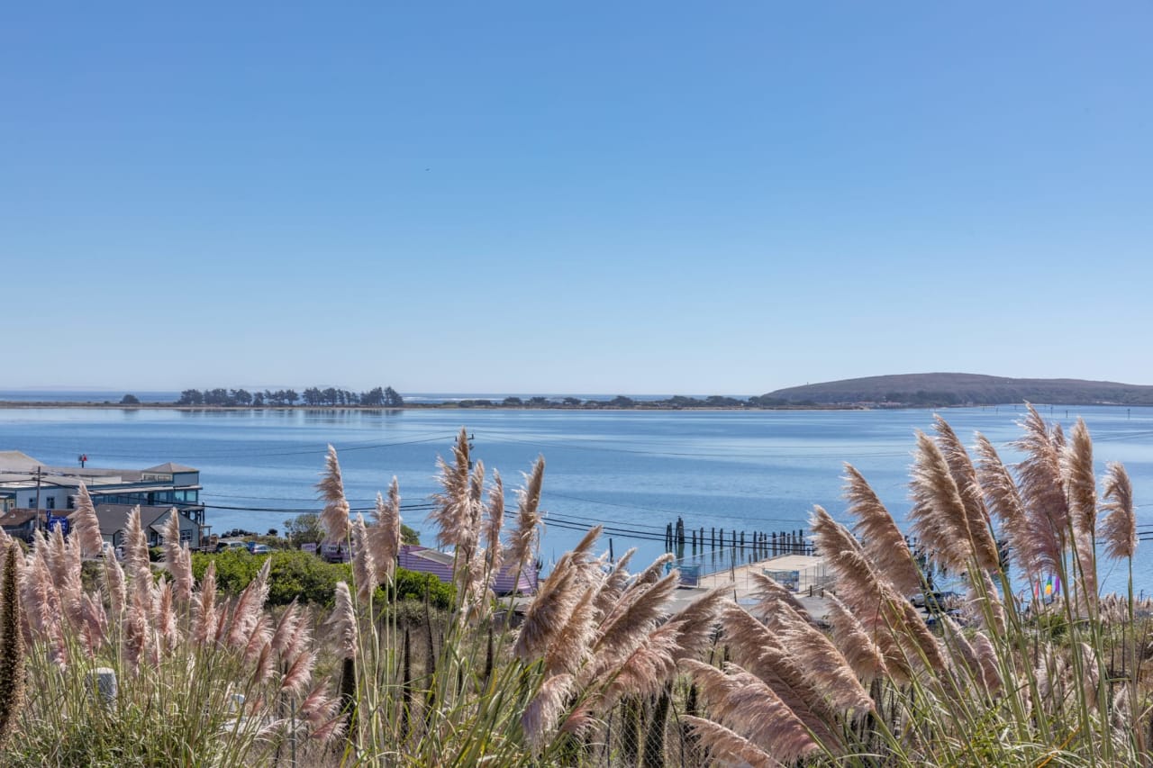 Harbor View At Bodega Bay