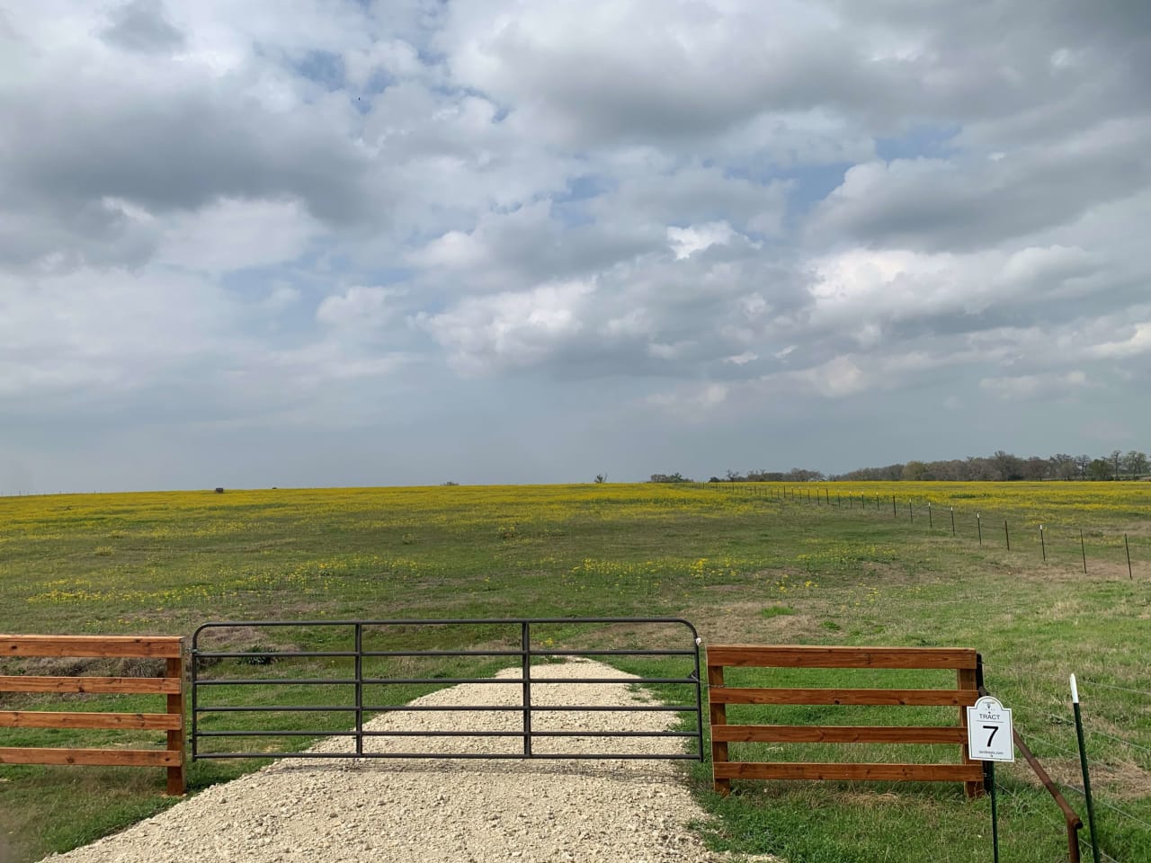 Pasture Land For Sale in Texas