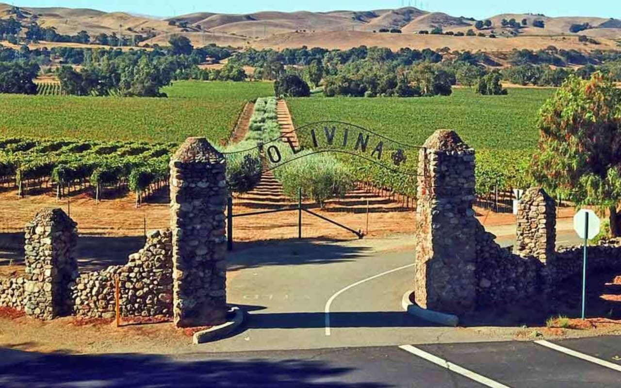 The Vineyards & Vineyard Gate & Ladera Estates Neighborhood Guide