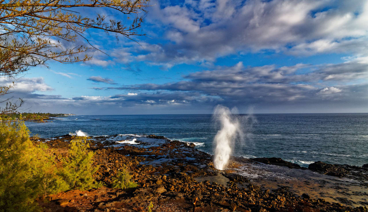Yvonne Summerfield Kauai Real Estate Agent