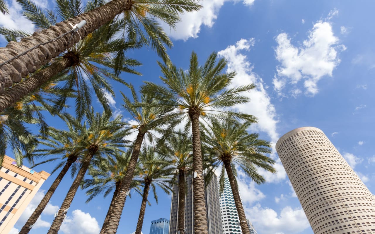 Downtown Tampa | Ybor City | Water Street