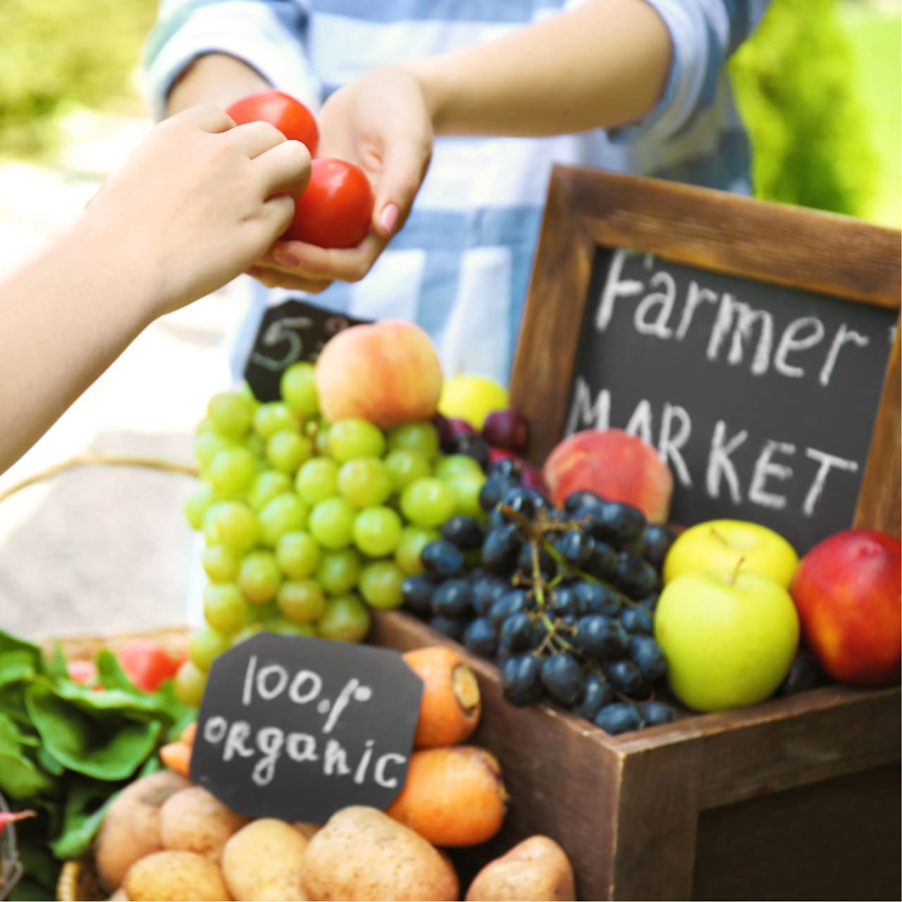 The Farmers Market at DeFuniak Springs